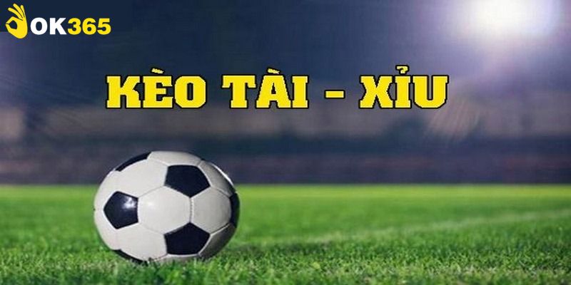 Tìm hiểu khái niệm cách cá độ bóng đá tài xỉu