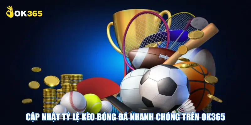 OK365 – Sân chơi cá cược hàng đầu cho mọi cược thủ